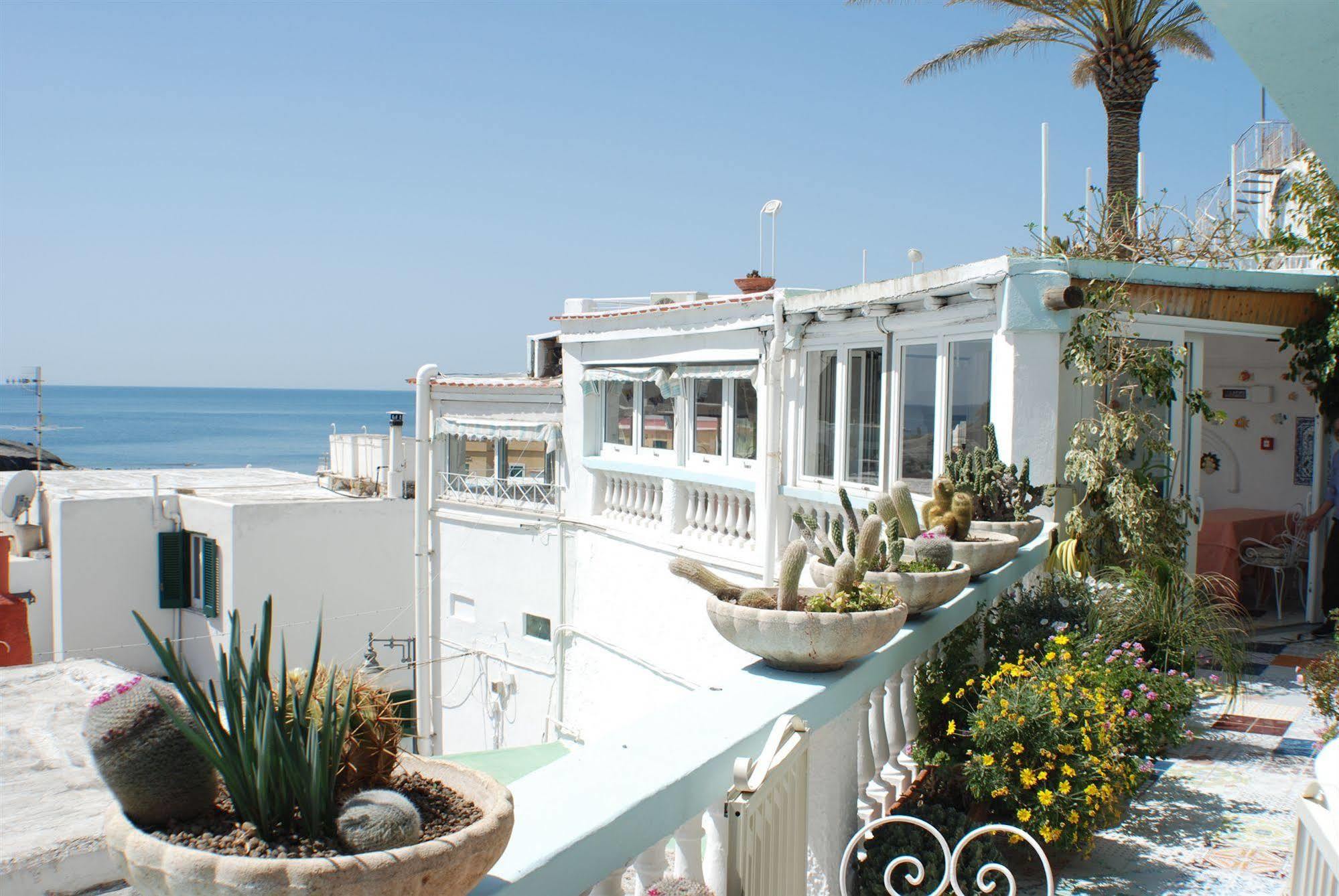 Hotel La Palma Sant'Angelo  エクステリア 写真