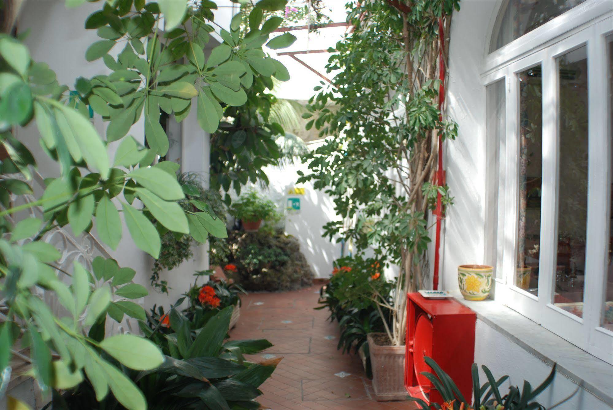 Hotel La Palma Sant'Angelo  エクステリア 写真